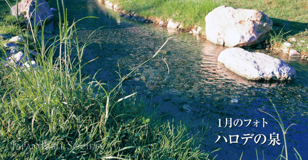 フォトギャラリー 2025年1月 - 日本聖書協会ホームページ 額装品 17